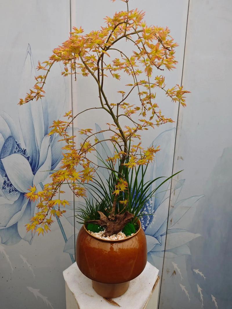 避开误区，精准定位花木基地