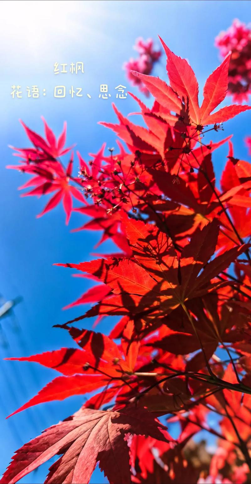 奉化苗木：警惕种植业的三大误区